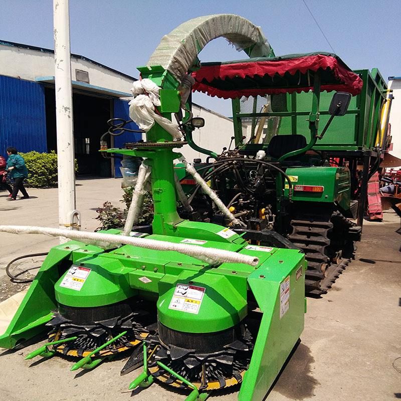 那些農民在夏季收獲的地方去了哪里？ 